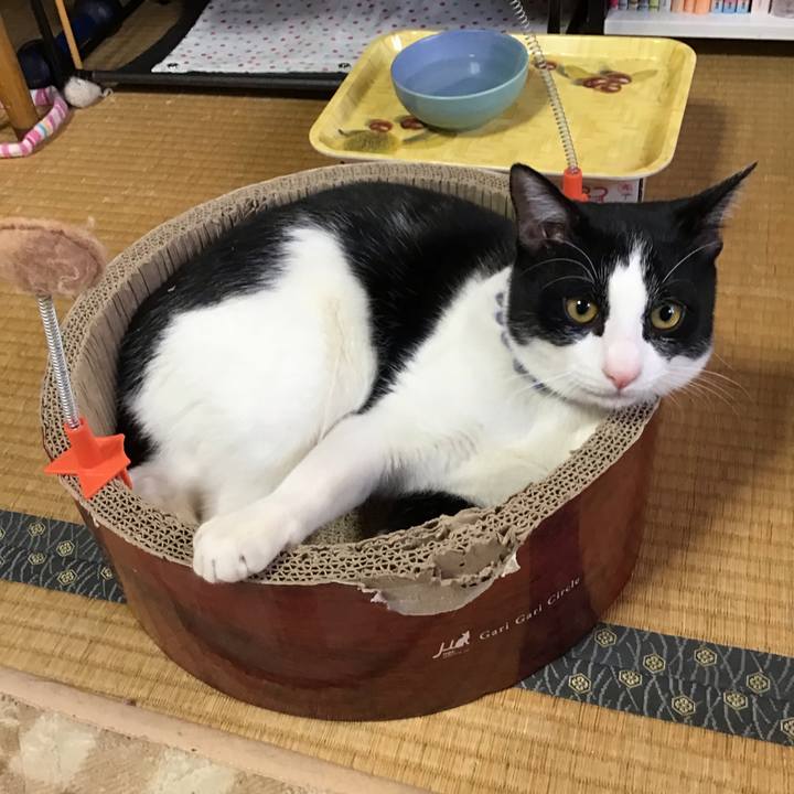 A29ab8ac 5a4b 435e a608 cb8fcd912990 1642115513489