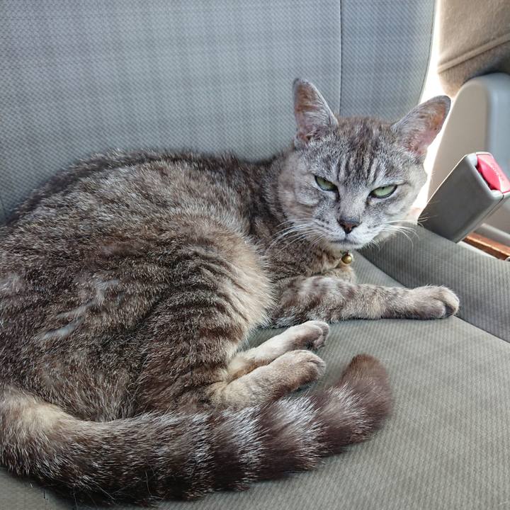 A29aeda7 ccda 4bbc 8176 6f4fdaf46bb7 1566697003618