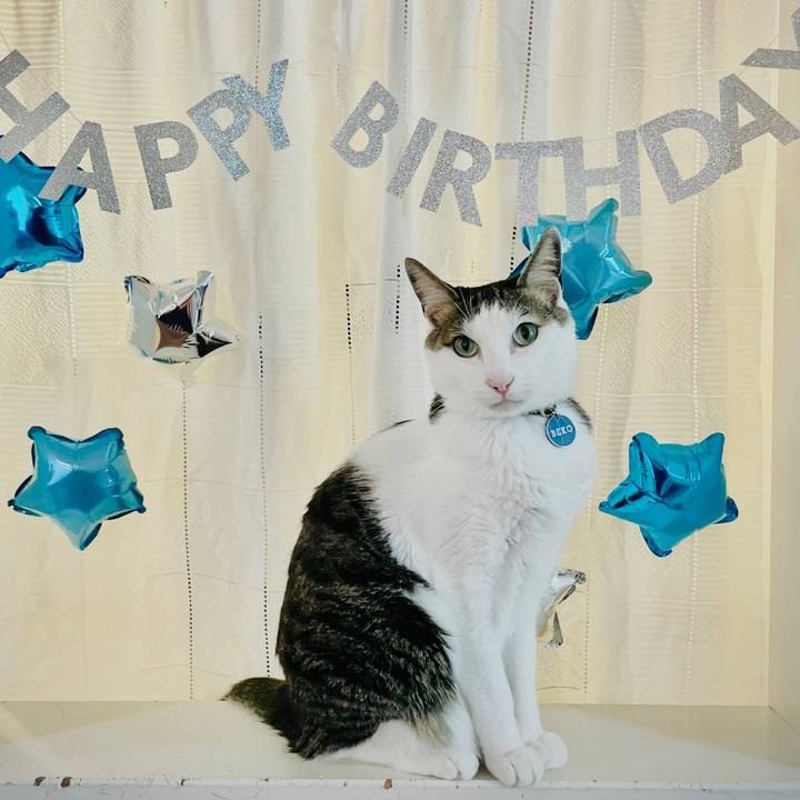 A29af1e6 d7db 4efc abcc 8defca087914 1744272902803