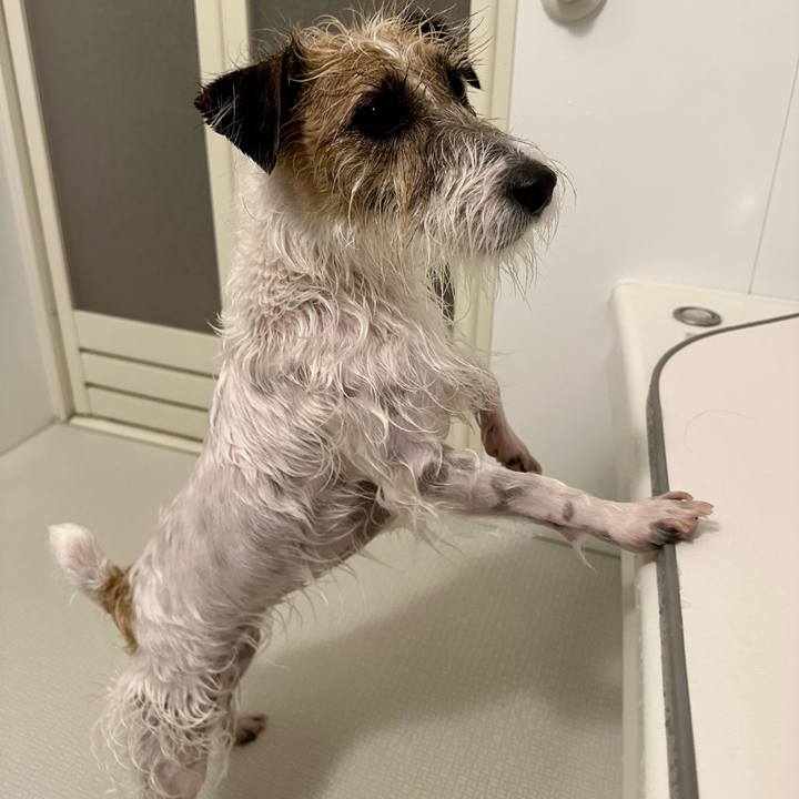 A29b0f0a 43ad 453a b9a9 391893497e5a 1710082300674