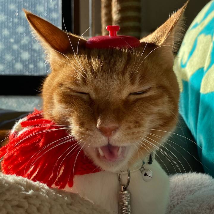 A29b2951 3963 4329 ab0f 24e0c076951a 1671873330555