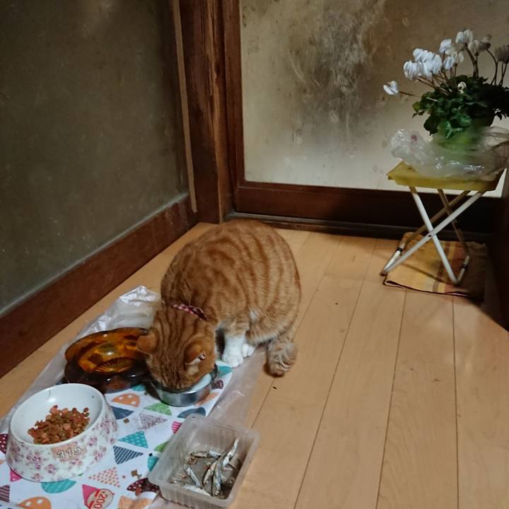 A29b367f c87f 46fc 980f 56e142d89e43 1608581652795