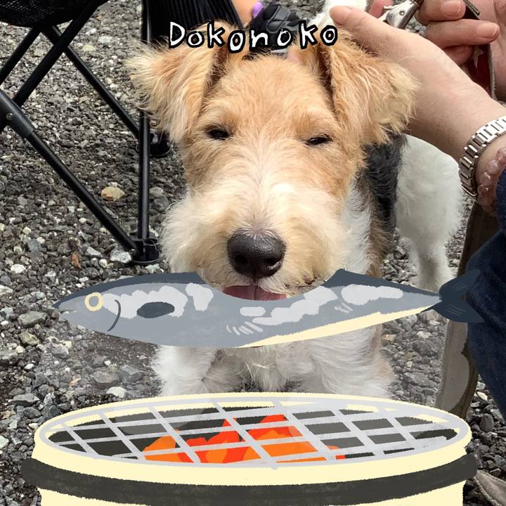 A29b6ce4 b514 4048 bf10 fac1c03f1f78 1761303050389