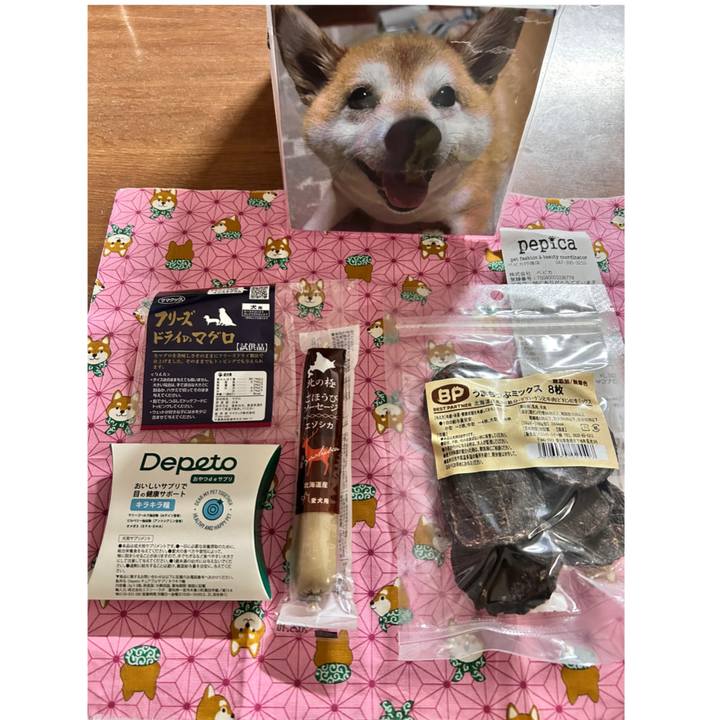 A29b7085 1823 4da0 9c71 8b4d23096a51 1733215247570