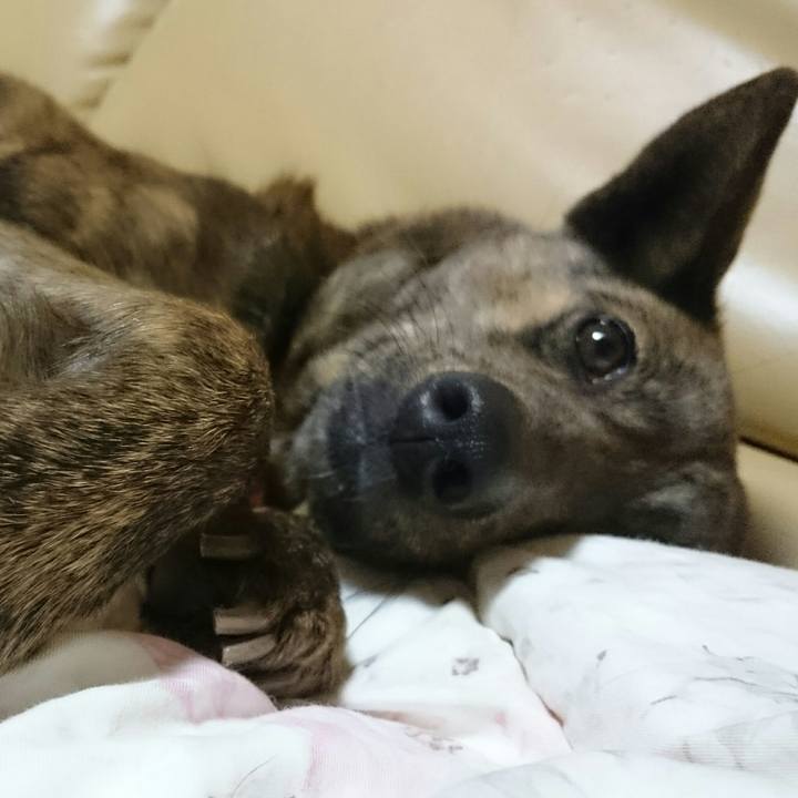 A29bc1c8 0bca 40cf aeac acd6d222655f 1511525436211