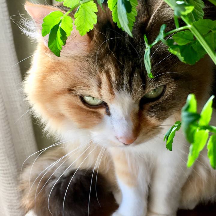 A29c6a37 f4be 413f 9aec 6c5f8a49d6e9 1554270519316