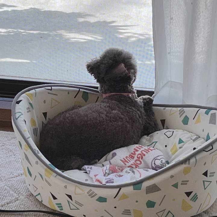 A29c7f3c c383 4b65 baf3 b700d2035276 1693350023681