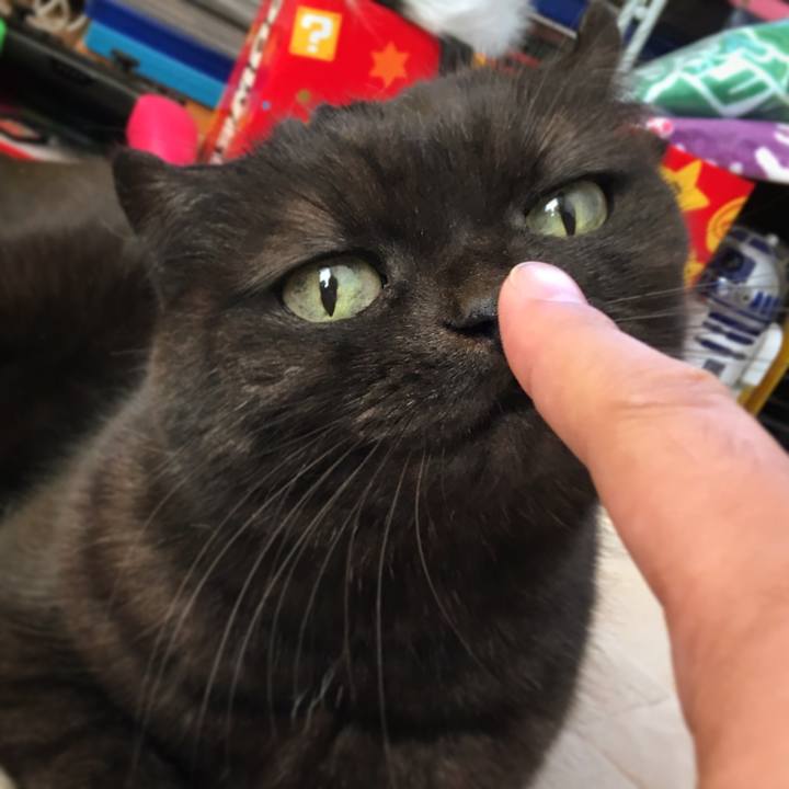 A29ce8e1 8c43 4b97 8eb9 53b17ee46db4 1511616756400