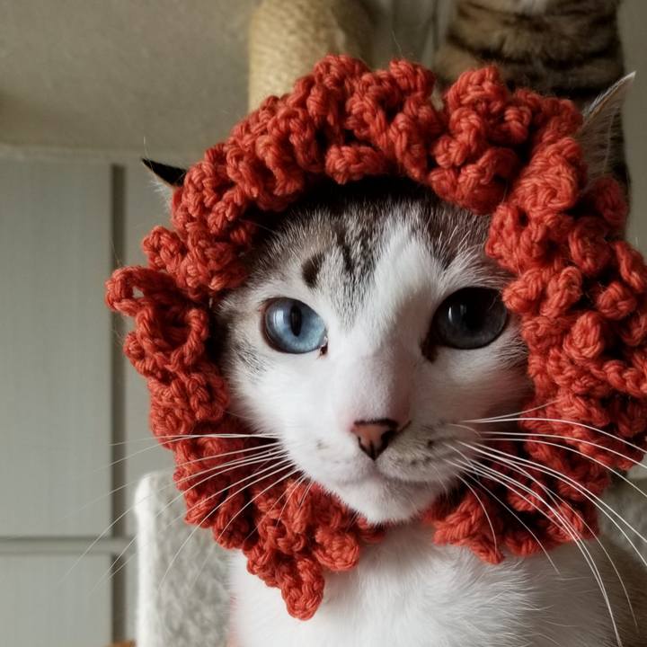 A29cf1a1 9328 435e b3fe e923f43a7490 1554427875072