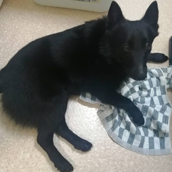 A29d0ed3 5360 48cc ac02 cd39da19acdf 1621338843049