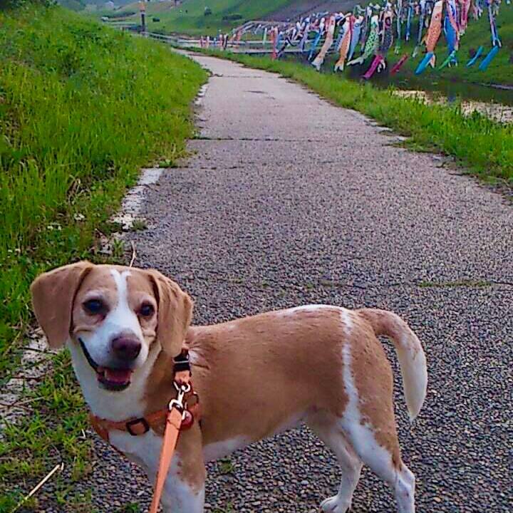 A29d7850 a0f6 4457 952f 2d35d91c8a4e 1653736132047