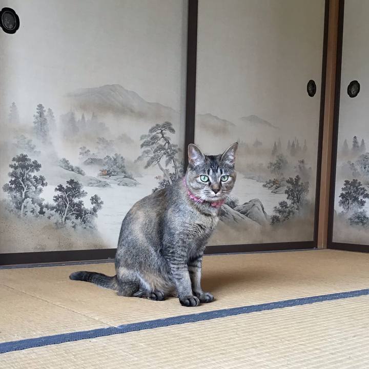 A29d8397 8651 437a 82d4 bb365ae52497 1593903374225