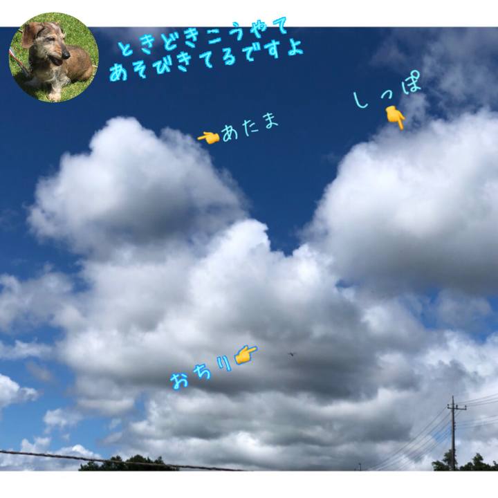 A29da8c7 9f17 4890 9082 1ad4b38321fa 1631415163581