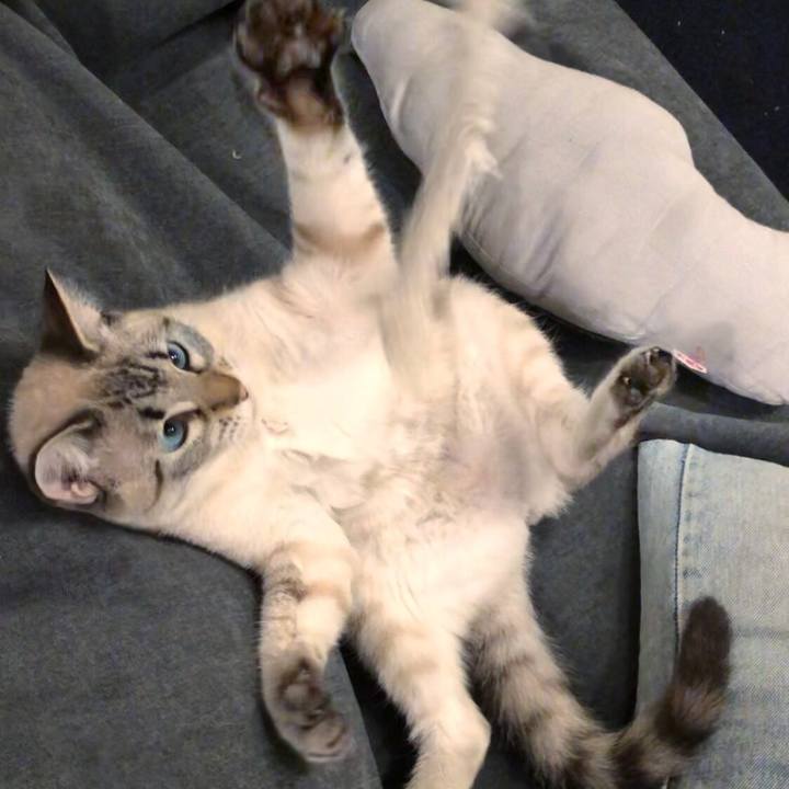 A29db04c c058 41b2 954b fc7d3b1fd4ec 1738451332368