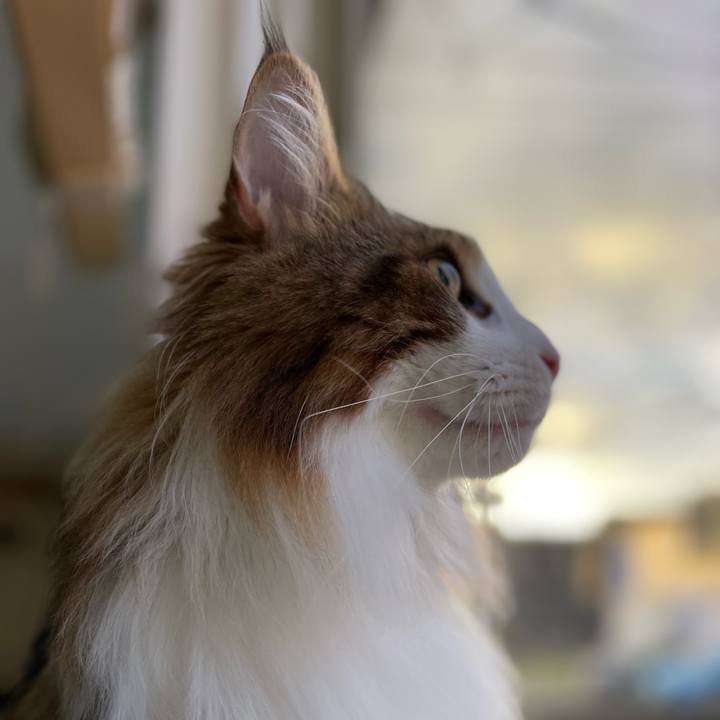 A29def58 50a8 4b1a b640 74ed5a619e06 1669414129955