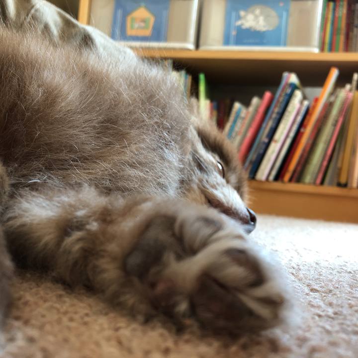 A29e099a 2b51 4295 aff1 abcce496e417 1582694556399