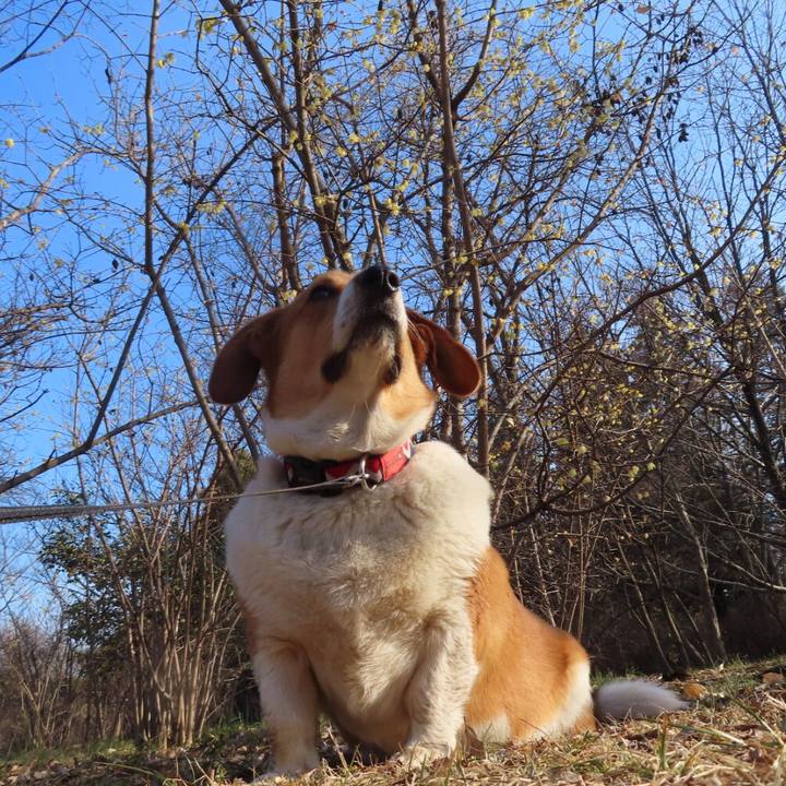 A29e0e7d de8a 4493 b4c9 8767d1041d8c 1645147528100