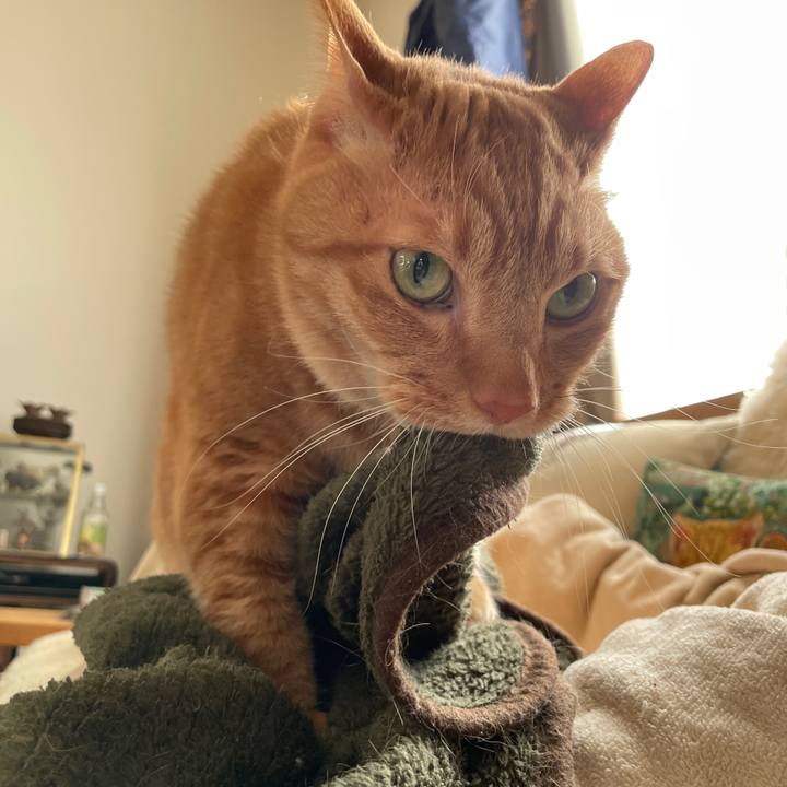 A29e36bc 76f4 427b ab67 97506dc3c975 1739270480006