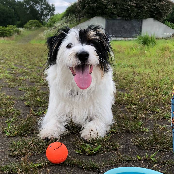 A29e5854 7175 4ed1 a3e9 cadb5ca9d8d3 1530143261848