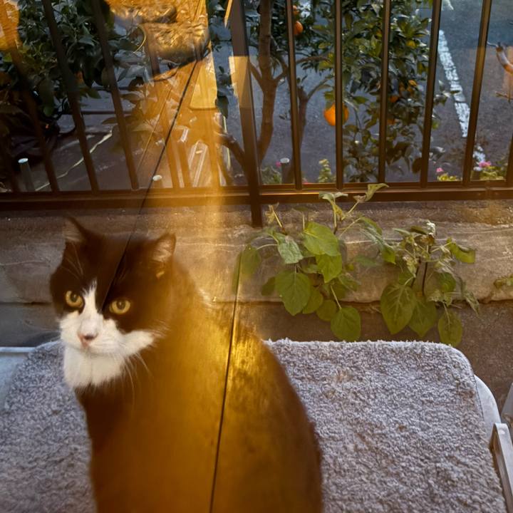 A29e785b b034 494c 949e 4ad5d9e2b08a 1766925774033