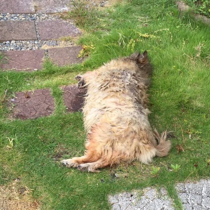 A29ed576 32a4 485c bba6 10afdd674303 1662098150034