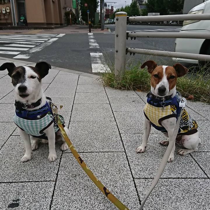 A29eeb61 0af5 4884 ade9 1d328a841042 1538953694569