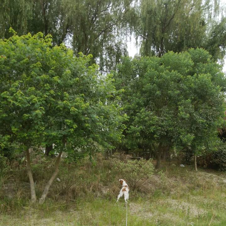 A29f05db e071 4bba 8e9a f39590e914fd 1532779717627