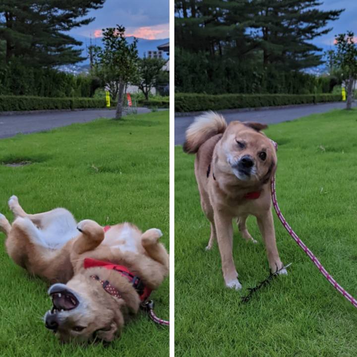 A29f9ba6 468f 4576 a8ff 13f951aaddbf 1659187131785