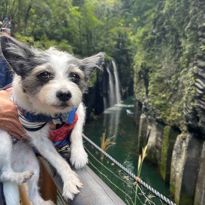 A29fbf60 cc20 485d ac3a 31e86084f895 1761640066196