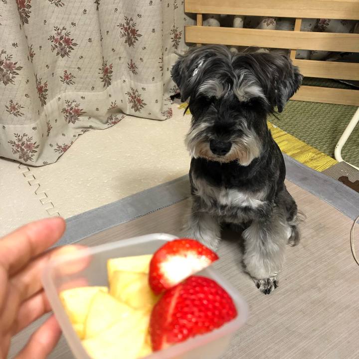 A29fd0e0 f1db 4f0e aff0 e2f3fca42ab7 1650022705556