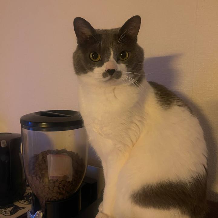 A29fdc5b a4b9 4799 af29 92c564c4c033 1743461154133