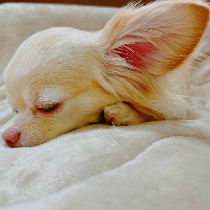 A29feedb 6548 4f07 b272 5f514077d281 1650602143582