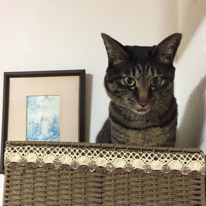 A2a01a88 a9cd 4908 b59b 1e267937b42e 1518280221489