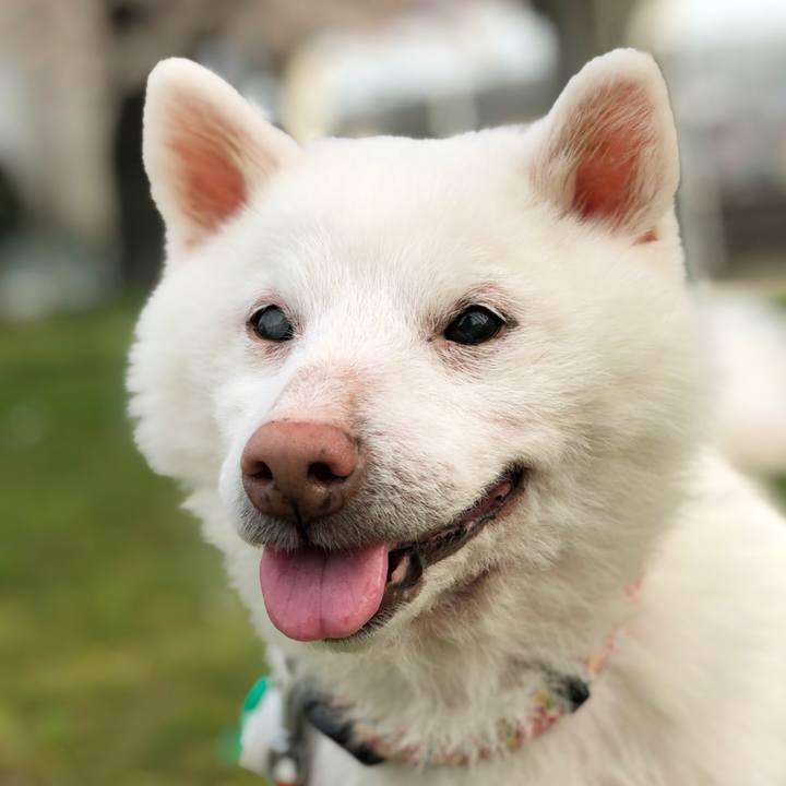 A2a03917 8c73 474e 8722 43feb5551702 1662027467244