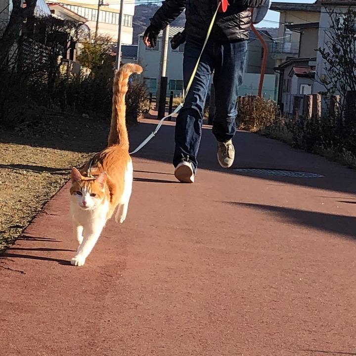 A2a04e90 8ead 405f a0c6 9406eebe8fc0 1546318284155