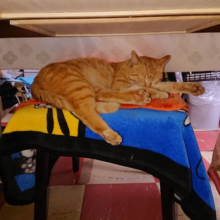 A2a056f1 9232 4a26 bbdf 9618372cef40 1557123080127