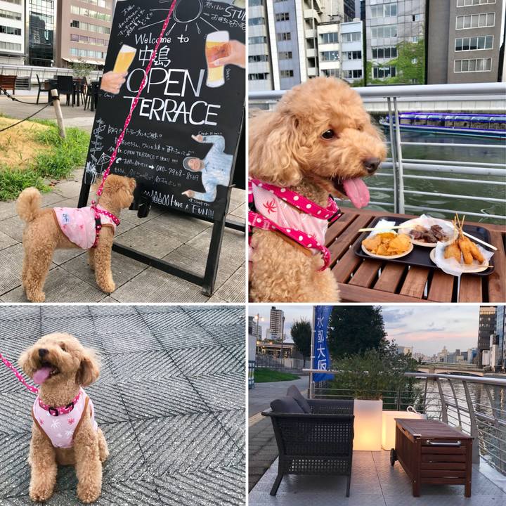 A2a0aa78 35b2 4cf3 ad0e 6be0a43c7683 1534251635589