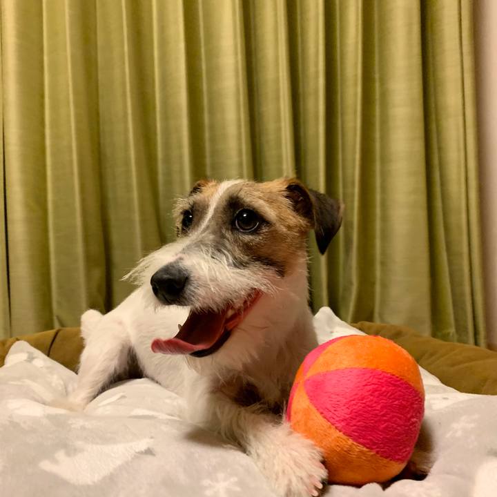 A2a12481 7046 4ac5 bc44 95d3445737e2 1582462670717