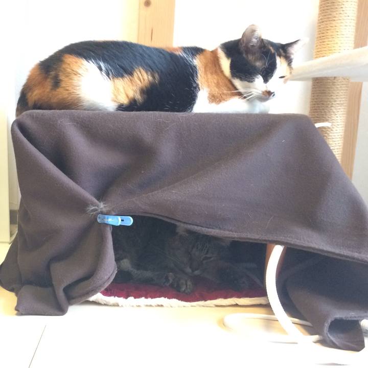 A2a126ef 0e57 464d 9c0c 94ac36cd237b 1606653511204