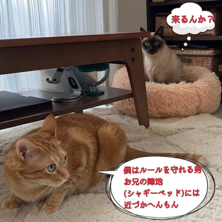 A2a15afb 8412 46a1 905e c4156e87dbde 1619781275615