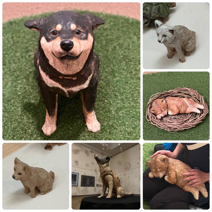 A2a16421 cf2b 4e11 be62 18630ed267e1 1688202452624