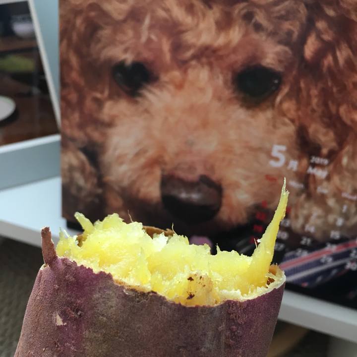 A2a177c7 f0e0 4079 a31b f3554c2b9bf8 1558930504597