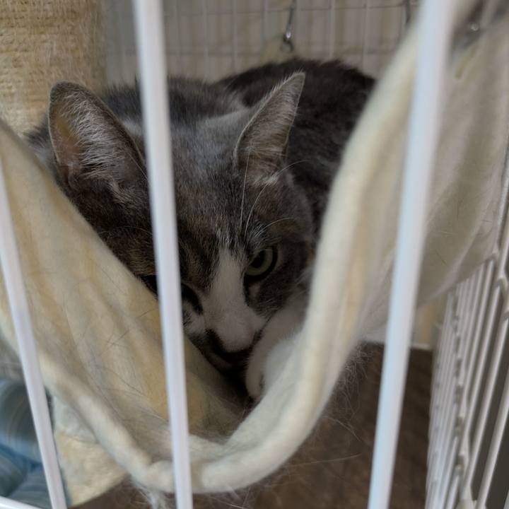 A2a1897d 00a1 4475 8428 b93f5da2b16f 1755858077826