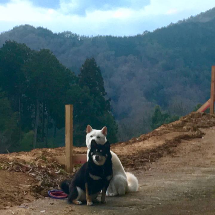 A2a1a7ef b0d3 4acb b6fe 65717f96eadf 1514885893461