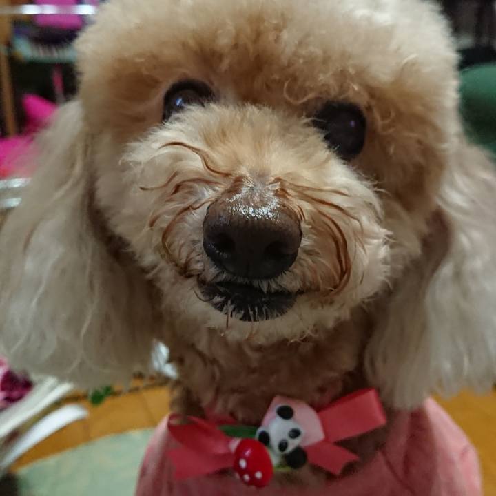 A2a1a93b 5521 4f94 bd3a 73b9dec9d959 1600512832387