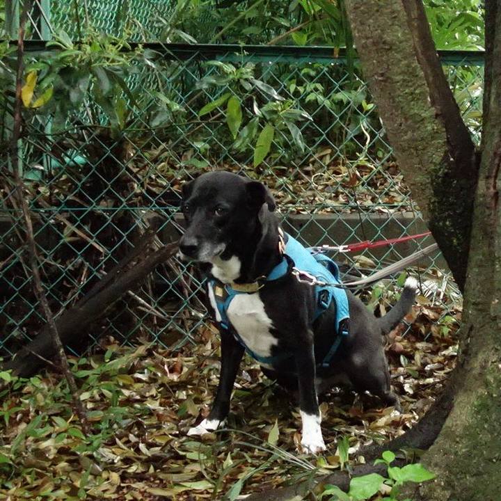 A2a1ceb7 5d9c 4169 b399 ffb0558d946a 1713744607740