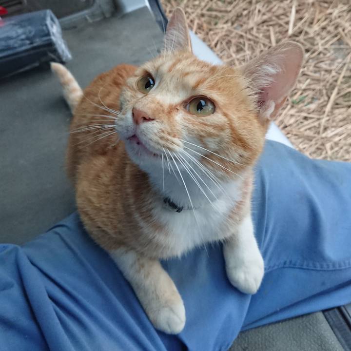 A2a1f849 70f0 4bca ba87 d44ab51eb29d 1591993772965