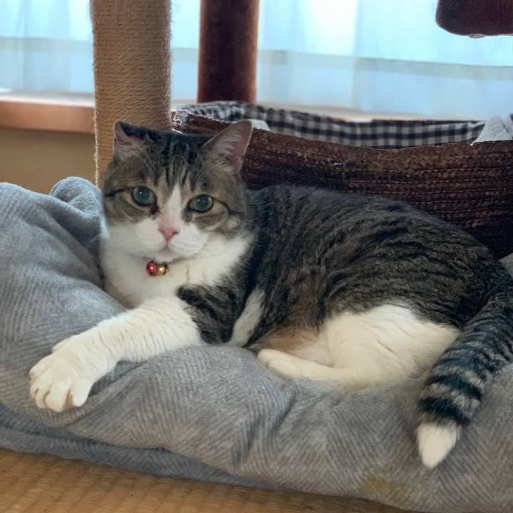 A2a240c6 2515 4ce6 9221 4d1d1d3a3713 1725452717040