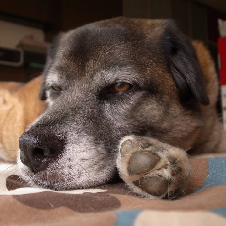 A2a2a43e 7fbf 40bc 8a7f 16b9934dc8ac 1586398516507