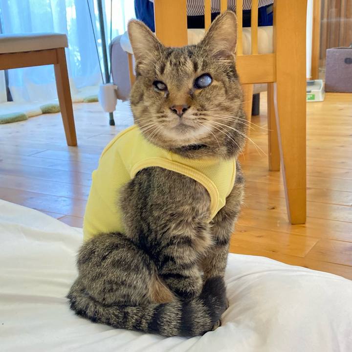 A2a2d3b6 6bea 4869 ac36 f9438b761322 1684296537875